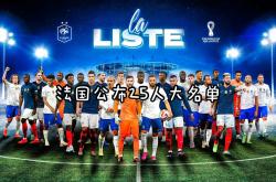 关于法国国家队实力超群，蓄势待发的信息